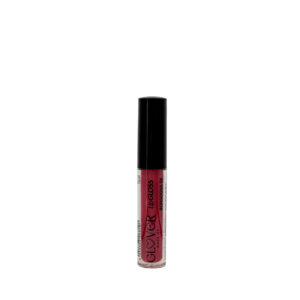 Lip Gloss Borgogna